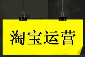 2020年零基础淘宝SEO运营实战，大数据时代精细化运营流程