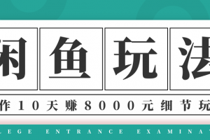 龟课·闲鱼项目玩法实战班第12期，操作10天左右利润有8000元细节玩法