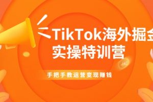 TikTok海外掘金实操特训营：手把手教运营变现赚钱