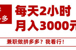 搜外网·拼多多副业课程，每天2小时月入3000元 学习这门课程真的能赚钱