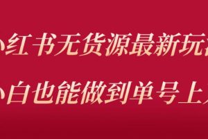 小红书无货源最新螺旋起号玩法，电商小白也能做到单号上万（价值3980元）