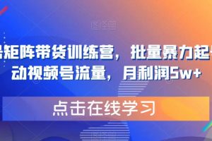 视频号矩阵带货训练营，批量暴力起号，撬动视频号流量，月利润5w+