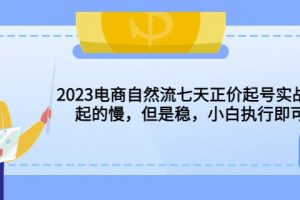 2023电商自然流七天正价起号实战课：起的慢，但是稳，小白执行即可！