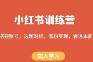 小红书训练营，搭建账号，选题对标，涨粉变现，看透本质