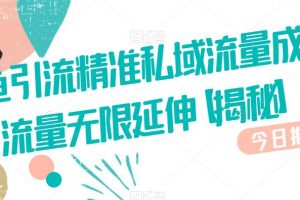 咸鱼引流精准私域流量成交流量无限延伸【揭秘】