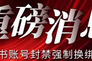 【最新】小红书账号封禁强制换绑技术可日赚300