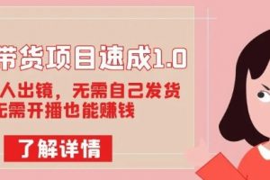 图文带货项目速成1.0：无需真人出镜，无需自己发货，无需开播也能赚钱