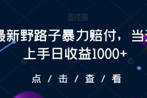 最新野路子暴力赔付，当天上手日收益1000+【仅揭秘】