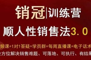 爆款！销冠训练营3.0之顺人性销售法，全方位解决销售难题、可落地、可执行、有结果