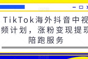 TikTok海外抖音中视频计划，涨粉变现提现陪跑服务