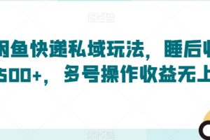 闲鱼快递私域玩法，睡后收益500+，多号操作收益无上限【揭秘】