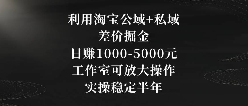 利用淘宝公域+私域差价掘金，日赚1000-5000元，工作室可放大操作，实操稳定半年【揭秘】