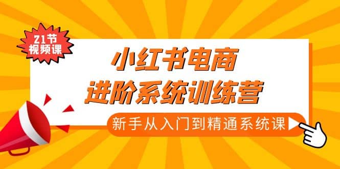 小红书电商进阶系统训练营：新手从入门到精通系统课（21节视频课）