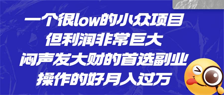 一个很low的小众项目，但利润非常巨大，闷声发大财的首选副业，月入过万