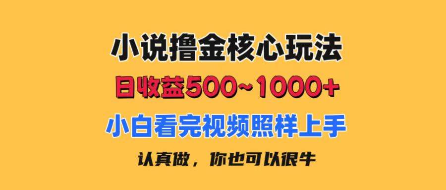 小说撸金核心玩法，日收益500-1000+，小白看完照样上手，0成本有手就行