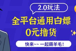 外面收费2980的全平台通用白嫖撸货项目2.0玩法【仅揭秘】