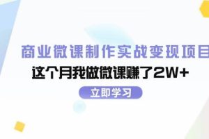 商业微课制作实战变现项目，这个月我做微课赚了2W+